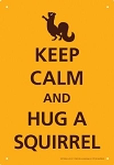 Click to get Keep Calm Squirrel Tin Sign