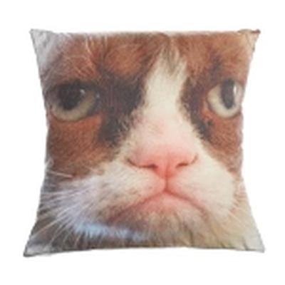 Click to get 16 Grumpy Cat Pillow