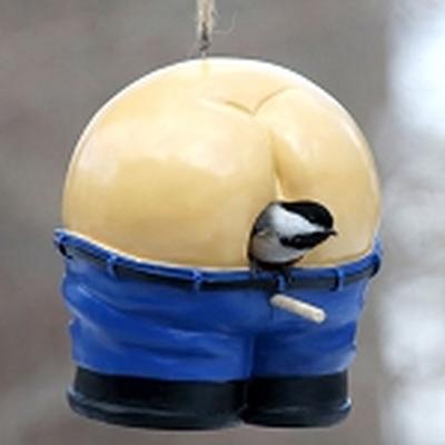 Click to get Mooning Birdhouse