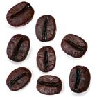 Coffee Bean Magnets