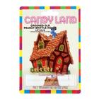 Candyland: Peanut Brittle Lip Balm
