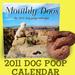 Moonthly Doos 2011 Calendar