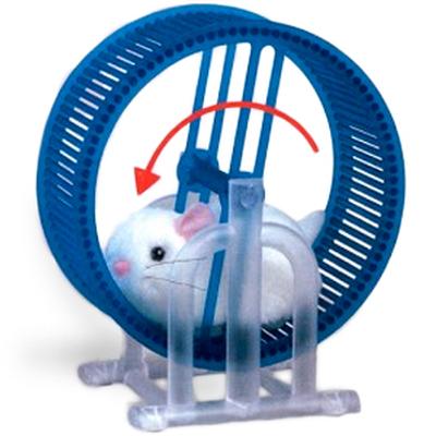 Click to get Wheel Running Hamster